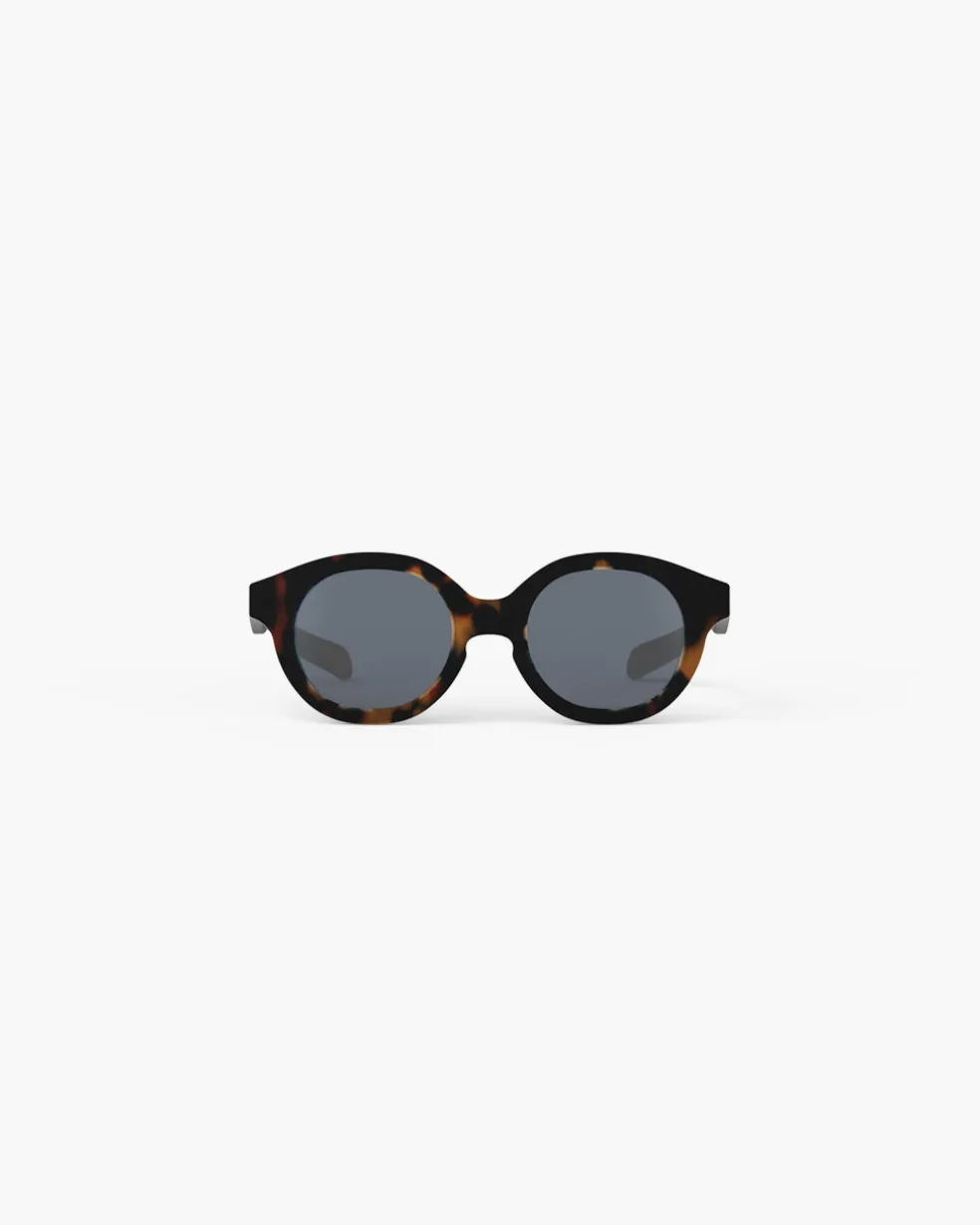 #c Tortue Polarisé