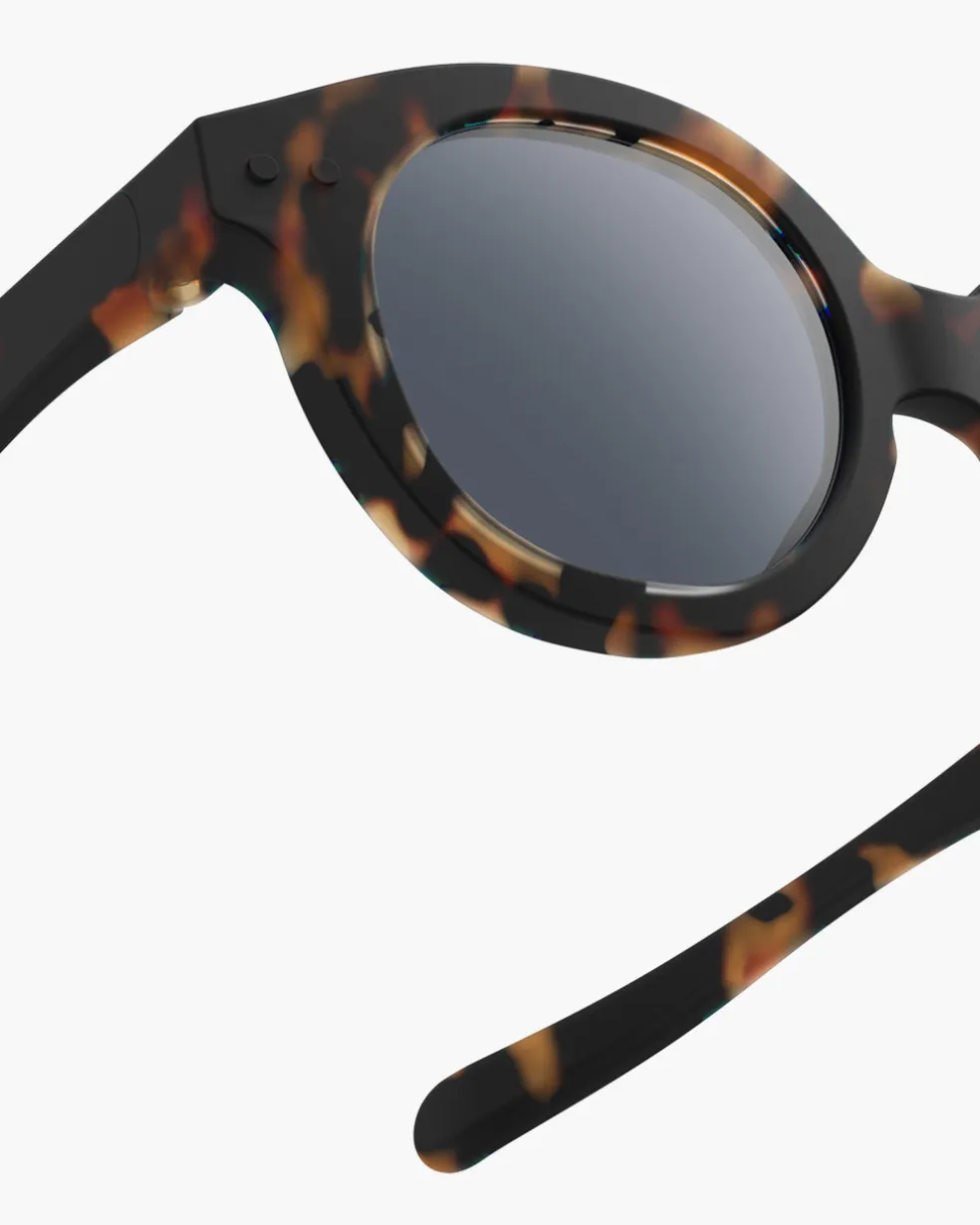 #c Tortue Polarisé