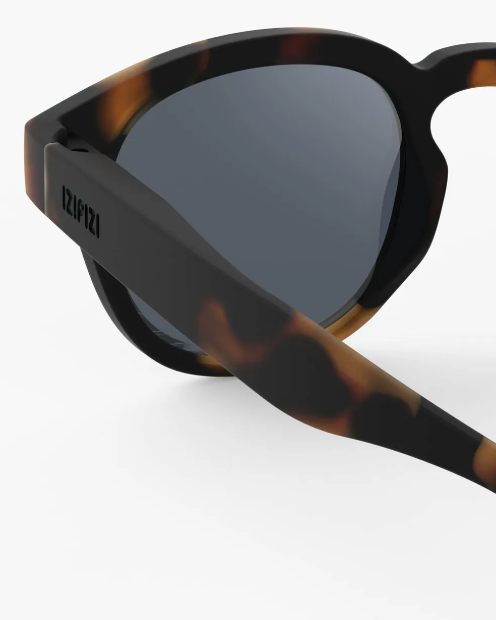 #c Tortue Polarisé