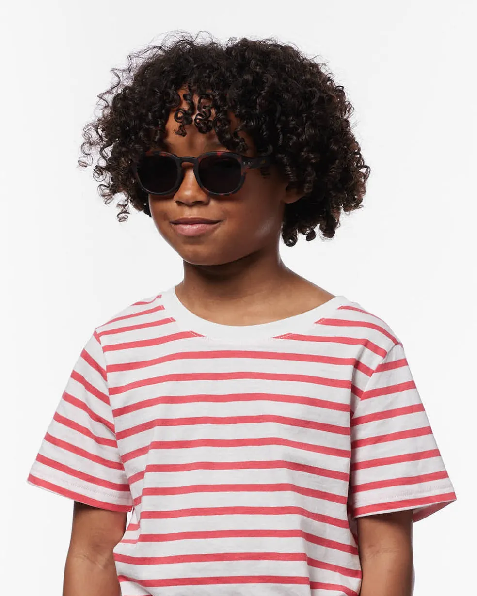 #c Tortue Polarisé