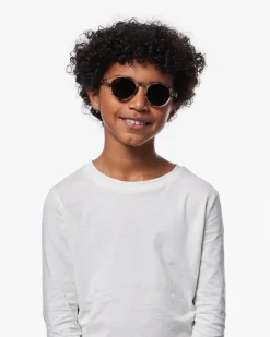 #d Tortue clair polarisé