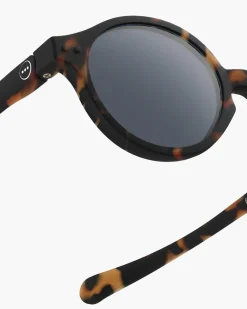 #d Tortue polarisé