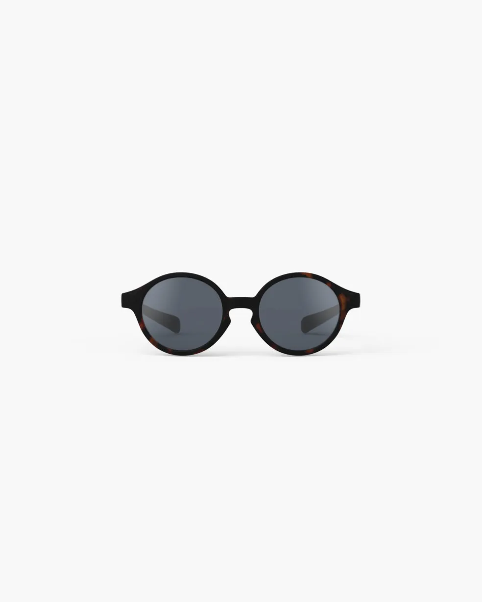 #d Tortue polarisé