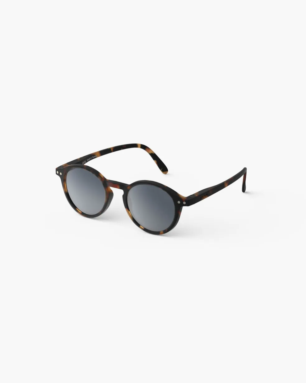 #d Tortue polarisé