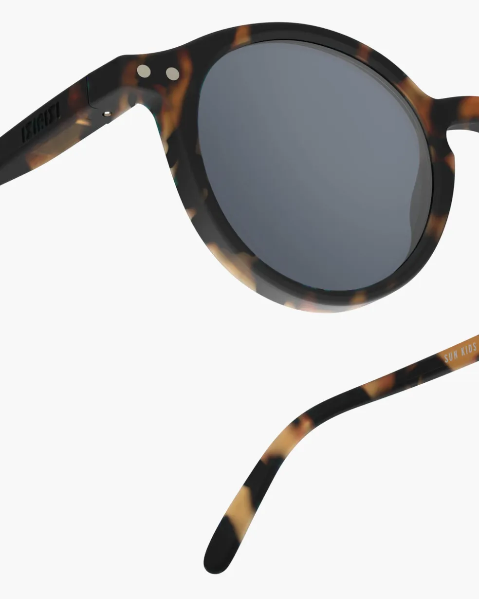 #d Tortue polarisé