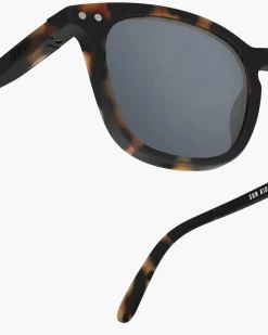 #e Tortue polarisé