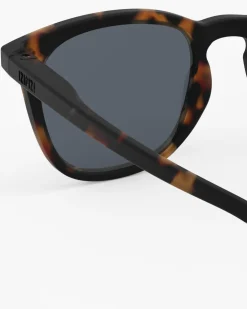 #e Tortue polarisé