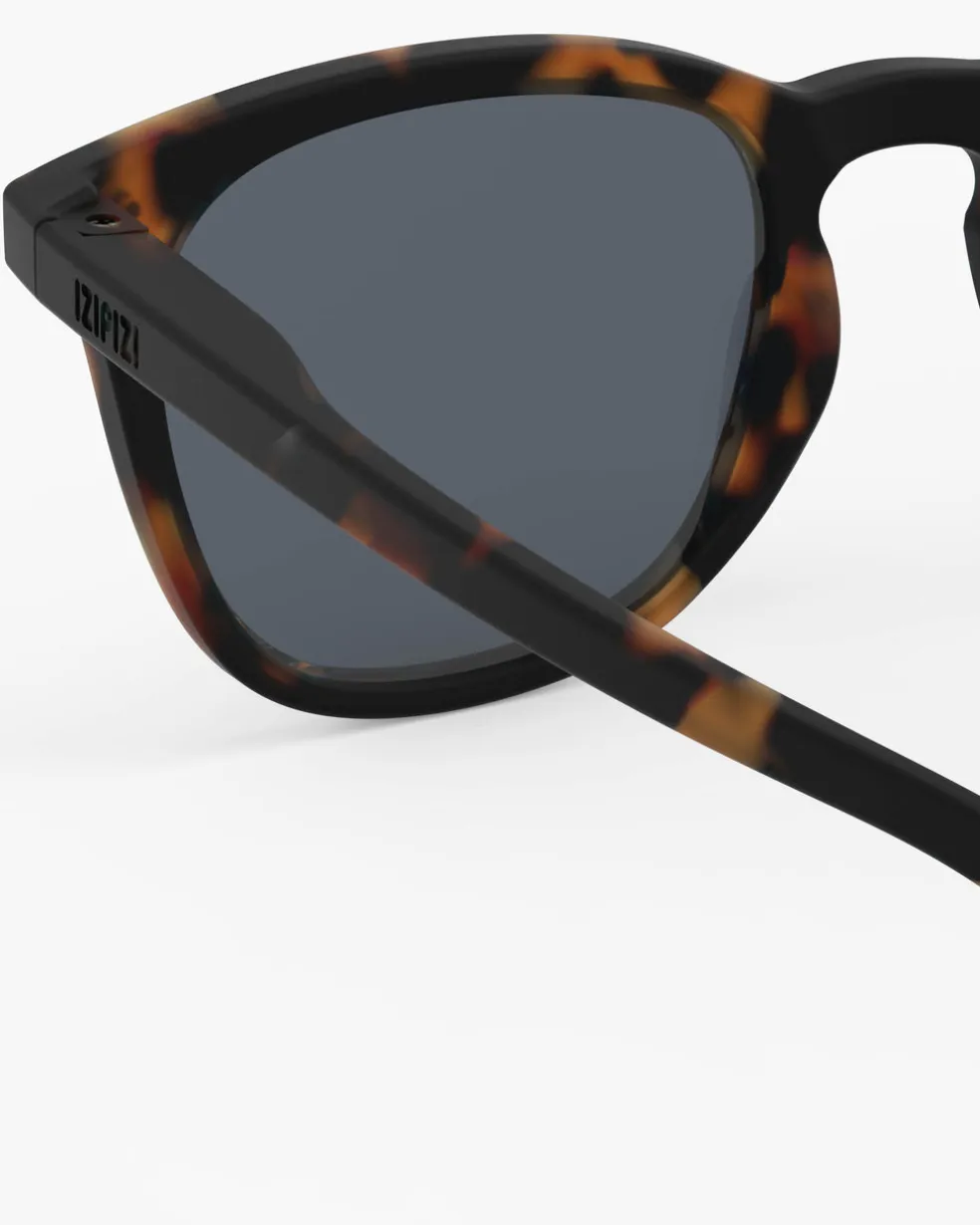 #e Tortue polarisé