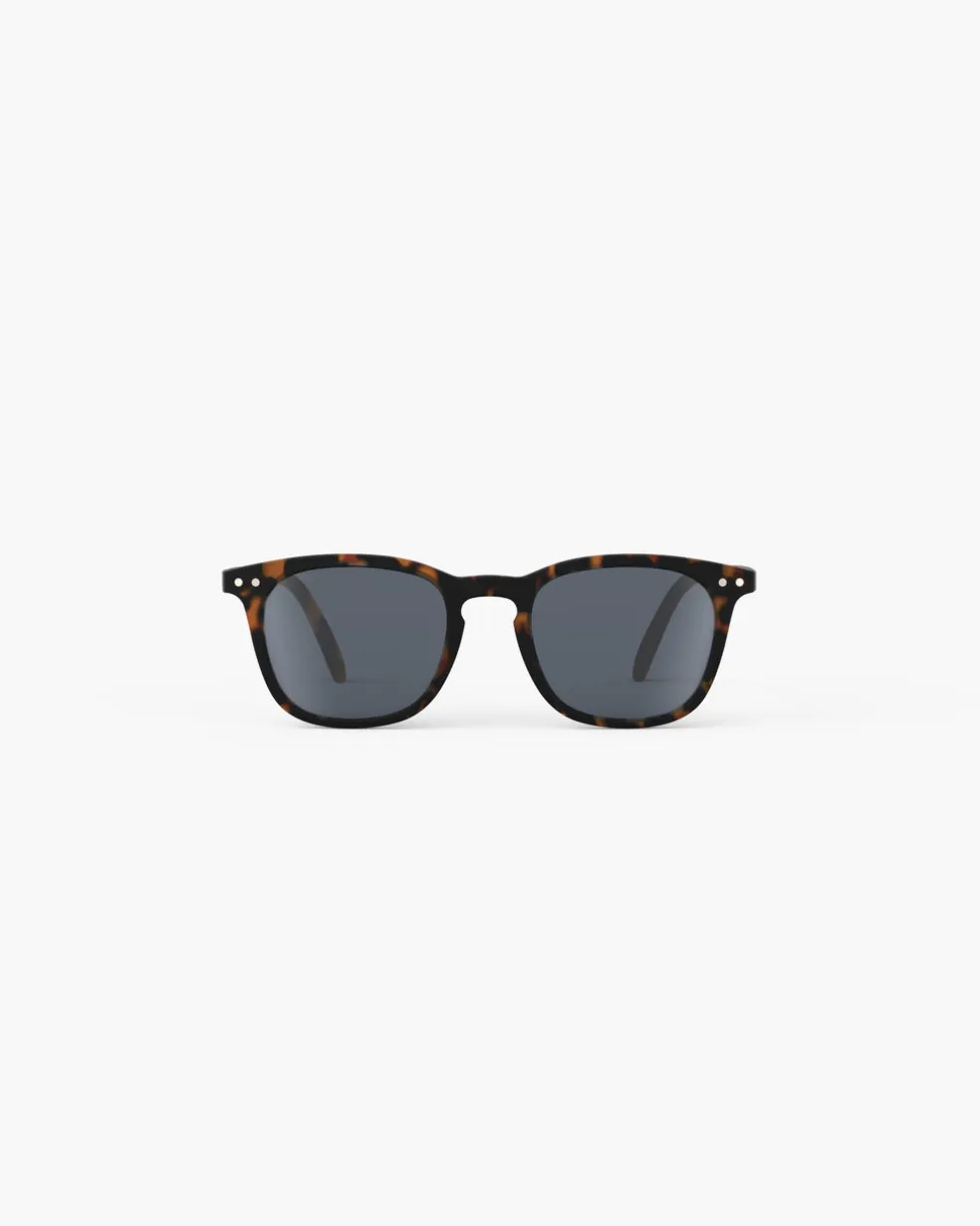 #e Tortue polarisé